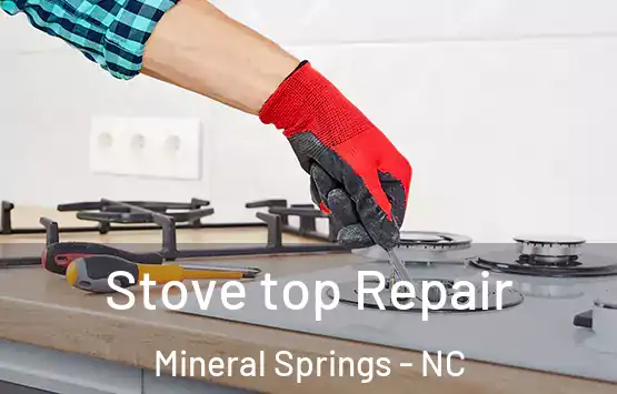  Stove top Repair Mineral Springs - NC