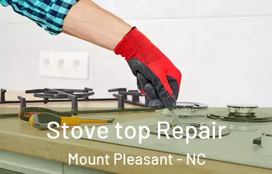  Stove top Repair Mount Pleasant - NC