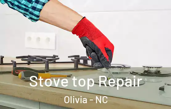  Stove top Repair Olivia - NC