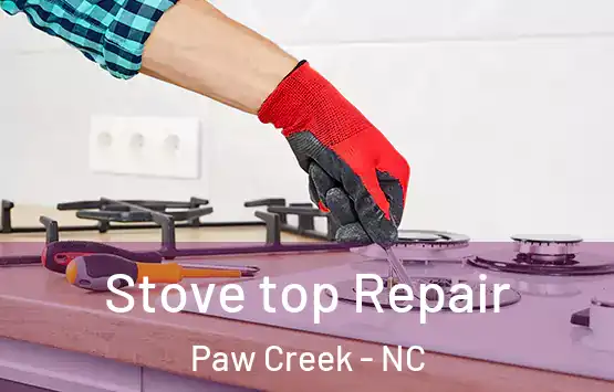  Stove top Repair Paw Creek - NC