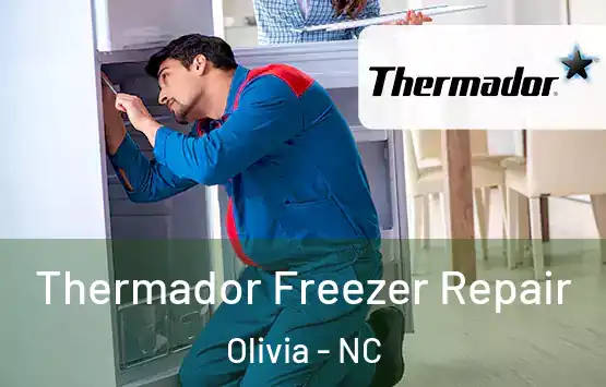  Thermador Freezer Repair Olivia - NC