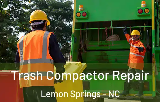  Trash Compactor Repair Lemon Springs - NC
