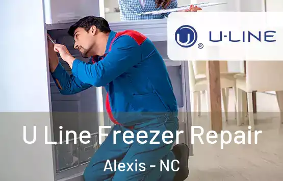  U Line Freezer Repair Alexis - NC