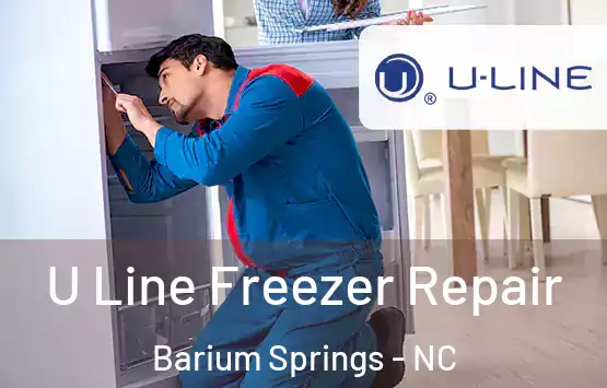  U Line Freezer Repair Barium Springs - NC