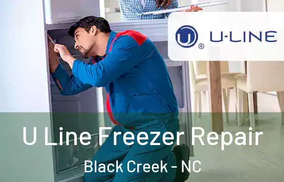  U Line Freezer Repair Black Creek - NC