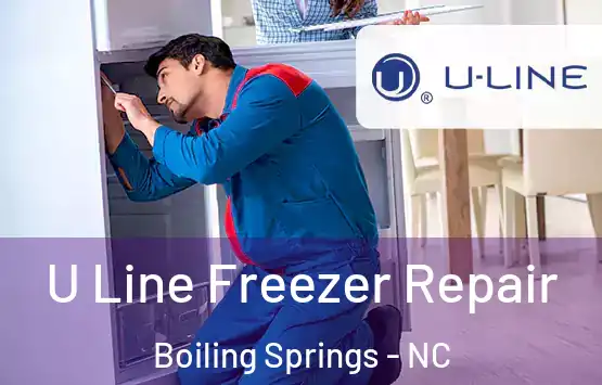 U Line Freezer Repair Boiling Springs - NC