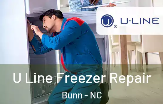  U Line Freezer Repair Bunn - NC