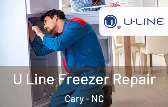  U Line Freezer Repair Cary - NC