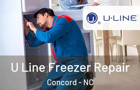  U Line Freezer Repair Concord - NC