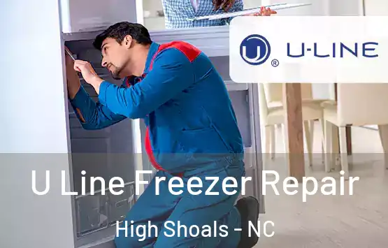  U Line Freezer Repair High Shoals - NC