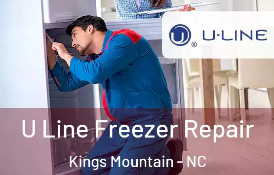  U Line Freezer Repair Kings Mountain - NC