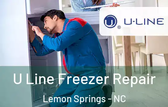  U Line Freezer Repair Lemon Springs - NC