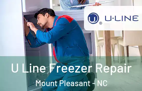  U Line Freezer Repair Mount Pleasant - NC