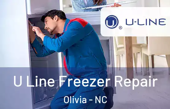  U Line Freezer Repair Olivia - NC