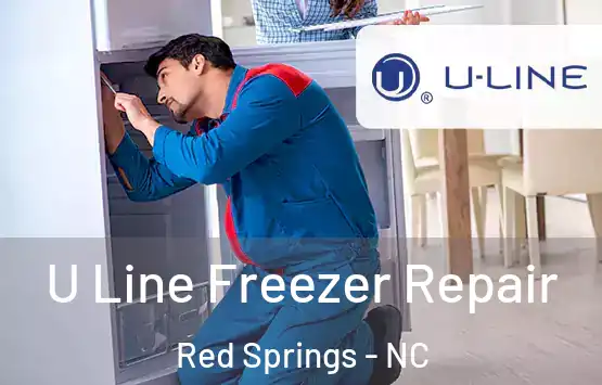  U Line Freezer Repair Red Springs - NC