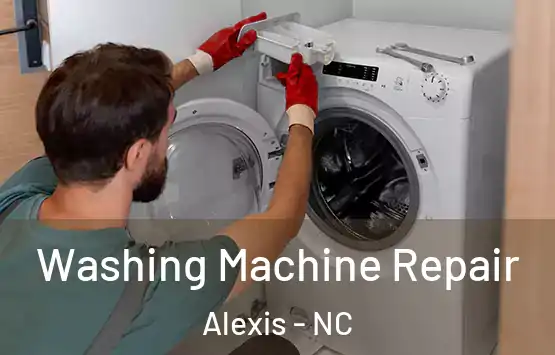  Washing Machine Repair Alexis - NC