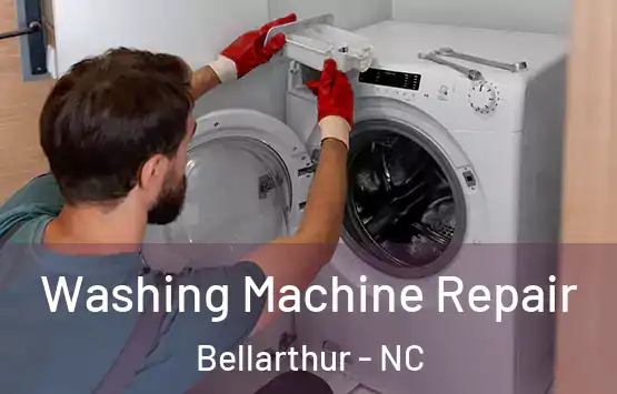  Washing Machine Repair Bellarthur - NC
