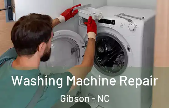  Washing Machine Repair Gibson - NC