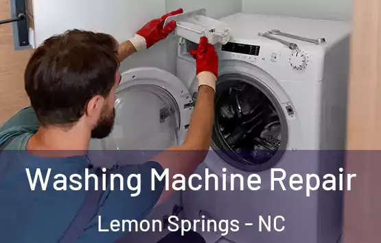  Washing Machine Repair Lemon Springs - NC