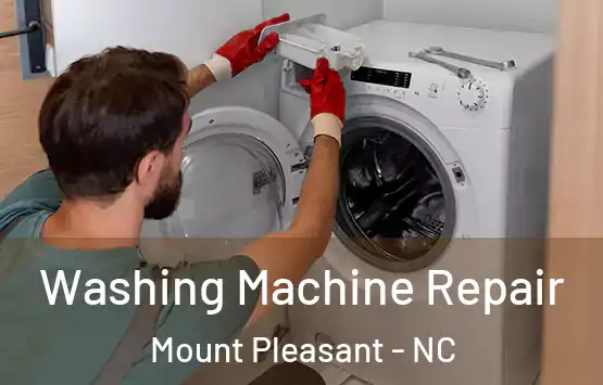  Washing Machine Repair Mount Pleasant - NC