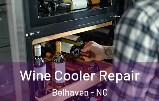  Wine Cooler Repair Belhaven - NC