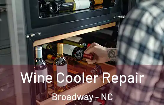  Wine Cooler Repair Broadway - NC