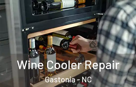  Wine Cooler Repair Gastonia - NC