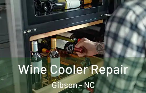  Wine Cooler Repair Gibson - NC