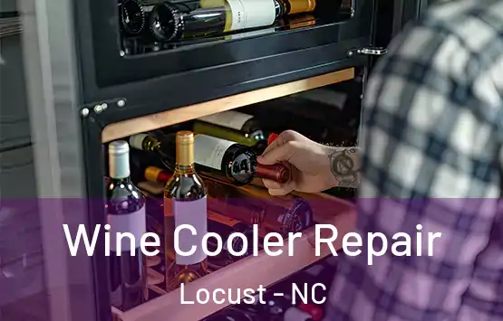  Wine Cooler Repair Locust - NC
