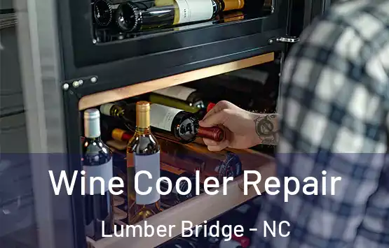  Wine Cooler Repair Lumber Bridge - NC