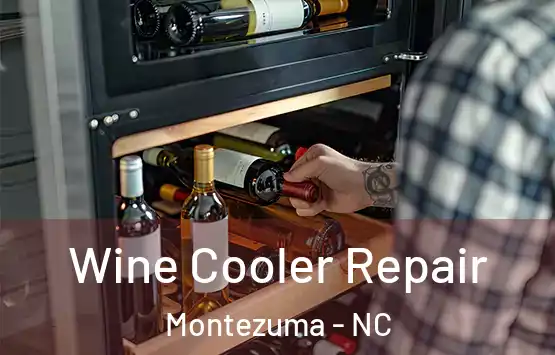  Wine Cooler Repair Montezuma - NC