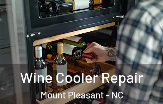  Wine Cooler Repair Mount Pleasant - NC