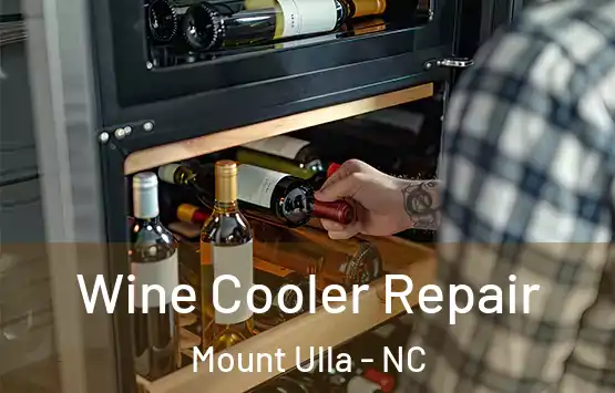  Wine Cooler Repair Mount Ulla - NC