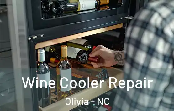  Wine Cooler Repair Olivia - NC