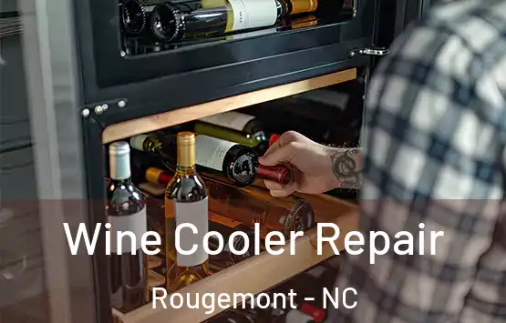  Wine Cooler Repair Rougemont - NC