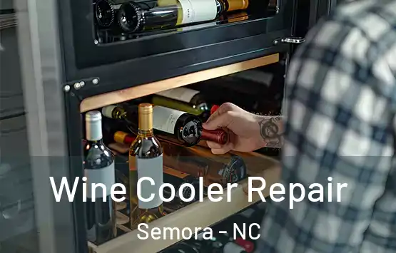  Wine Cooler Repair Semora - NC