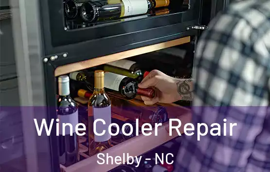  Wine Cooler Repair Shelby - NC
