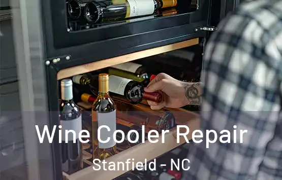  Wine Cooler Repair Stanfield - NC