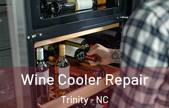  Wine Cooler Repair Trinity - NC