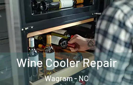  Wine Cooler Repair Wagram - NC